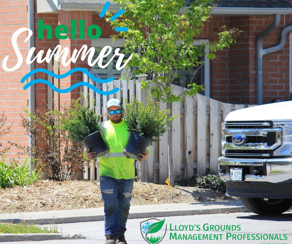 LGMP_'s tweet photo. Happy First Day of Summer! 
As the sun shines its brightest and the days grow longer, we welcome the start of a new season filled with warmth, joy, and endless possibilities. Let's embrace the summertime with open arms and make unforgettable memories under the clear blue skies. https://t.co/3le2XfmSav