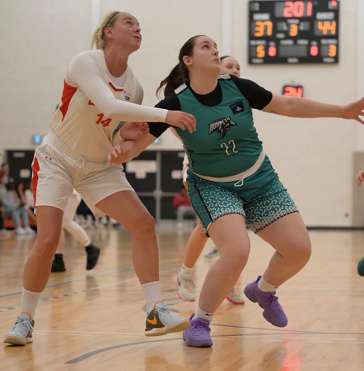 Maritime Women's Basketball Association (@the_mwba) on Twitter photo Bridge clash! One game to decide who makes <a href="/ProlineStadium/">ProlineStadium</a> Legacy Cup final. Tonight at 7 pm <a href="/ZSportsplex/">Zatzman Sportsplex</a> it’s host <a href="/LakeCity56ers/">Lake City 56ers</a> v <a href="/HfxHornets/">Halifax Hornets</a> - themwba.ca/2024/06/20/one… (<a href="/DWinston_Photo/">DW Photo</a>) Bridge clash! One game to decide who makes <a href="/ProlineStadium/">ProlineStadium</a> Legacy Cup final. Tonight at 7 pm <a href="/ZSportsplex/">Zatzman Sportsplex</a> it’s host <a href="/LakeCity56ers/">Lake City 56ers</a> v <a href="/HfxHornets/">Halifax Hornets</a> - themwba.ca/2024/06/20/one… (<a href="/DWinston_Photo/">DW Photo</a>)