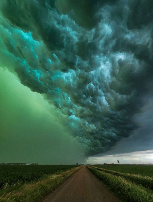 Did you know the sky can turn green?

For a green sky to occur, there must be a lot of moisture, which indicates that there is often large hail 

This picture was taken by Nathen Erickson in Sioux Falls, South Dakota.
