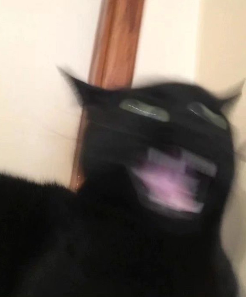 Punch Cat (@punchingcat) on Twitter photo 