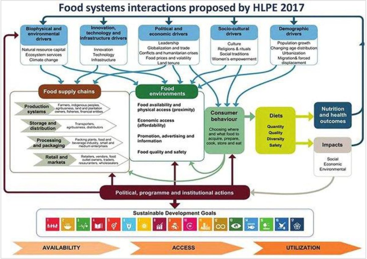 Read this new #scopingreview that aimed to "determine the relationship between #climatechange, #foodsystems and diet-related non-communicable diseases in sub-Saharan Africa" bit.ly/3xoN4xk
@merikoivusalo
<a href="/SallaAtkins/">Salla Atkins</a>
@TampereUniSOC