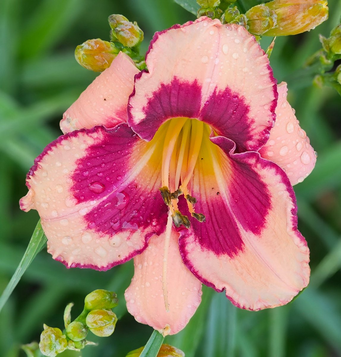 Good morning, Summer!