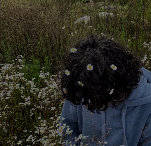 chapter 8 is up and with it a minor plot twist 🤠

archiveofourown.org/works/55461295…

#SaveNCISHawaii