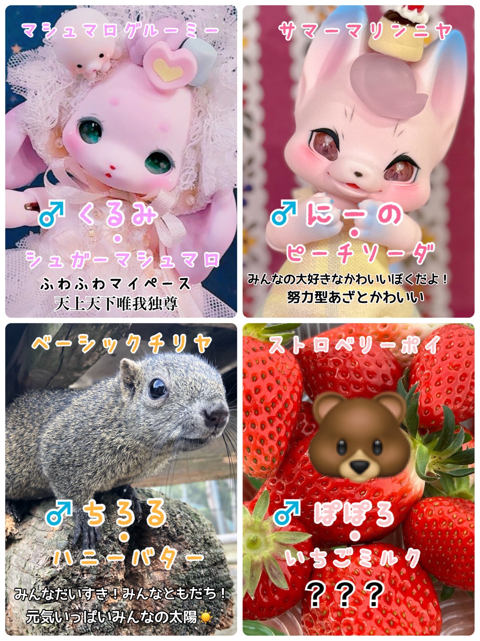 cocoriang cottonCandy Niya （オープン） やか
