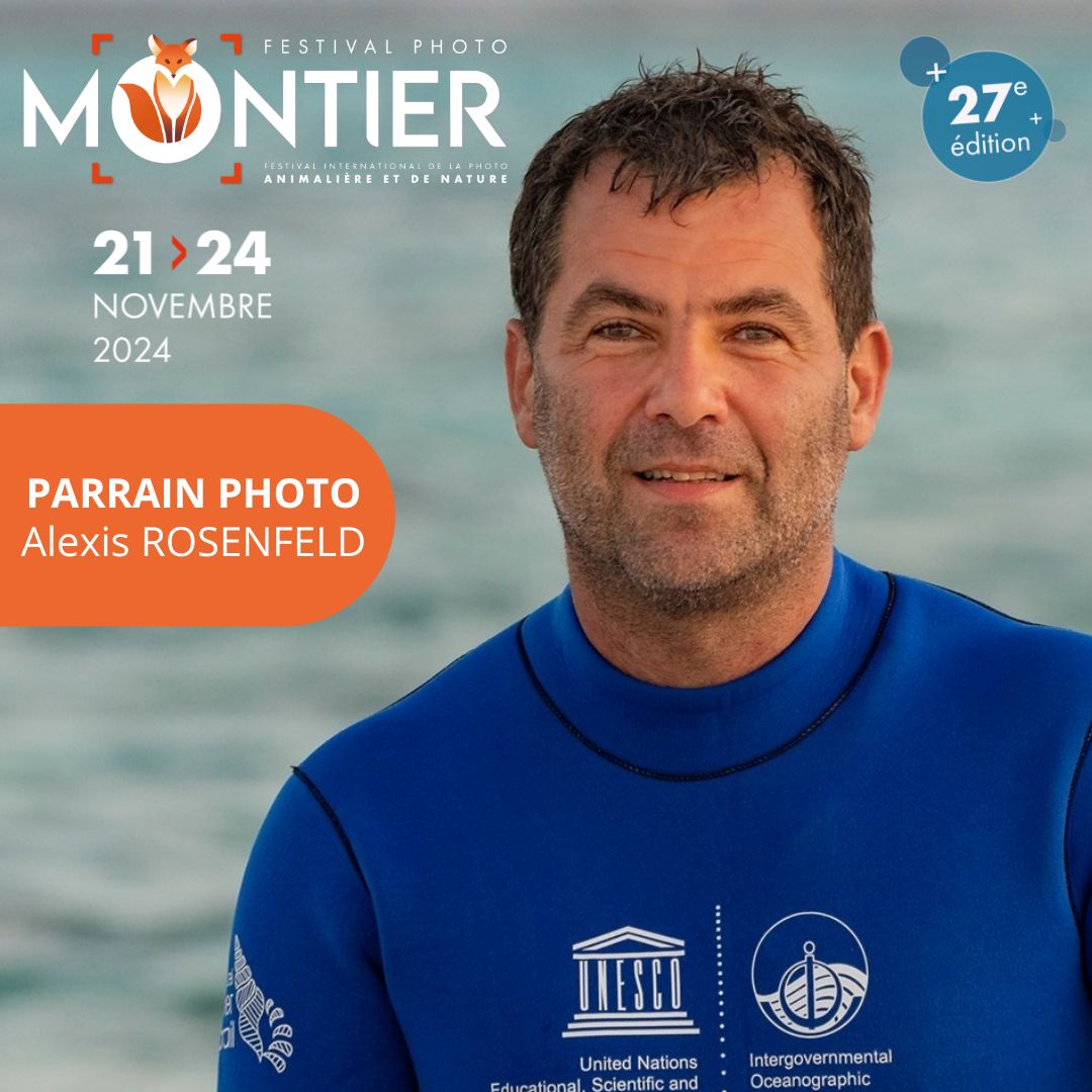 📣 𝗣𝗔𝗥𝗥𝗔𝗜𝗡 𝗣𝗛𝗢𝗧𝗢 𝟮𝟳𝗲̀𝗺𝗲 <a href="/FestivalMontier/">FestivalPhotoMontier</a> : 𝗔𝗹𝗲𝘅𝗶𝘀 𝗥𝗢𝗦𝗘𝗡𝗙𝗘𝗟𝗗🐬, photojournaliste, explorateur sous-marin, il travaille depuis plusieurs années avec l’ <a href="/UNESCO/">UNESCO 🏛️ #Education #Sciences #Culture 🇺🇳</a> et la FONDATION 1 OCEAN sur les grandes migrations du vivant👉 fondation-1ocean.com/.../la-grande-…