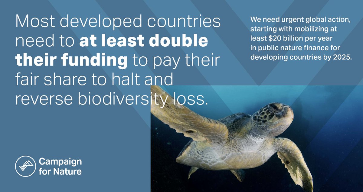 Greenpeace International (@greenpeace) on Twitter photo A new report from <a href="/ODI_Global/">ODI Global | odi-global.bsky.social</a> commissioned by Campaign for Nature finds ONLY TWO COUNTRIES are paying their fair share of the funding urgently needed to reverse and halt biodiversity loss.
#BiodiversityCrisis
Learn more: campaignfornature.org/a-fairshare-of… #20x25 A new report from <a href="/ODI_Global/">ODI Global | odi-global.bsky.social</a> commissioned by Campaign for Nature finds ONLY TWO COUNTRIES are paying their fair share of the funding urgently needed to reverse and halt biodiversity loss.
#BiodiversityCrisis
Learn more: campaignfornature.org/a-fairshare-of… #20x25
