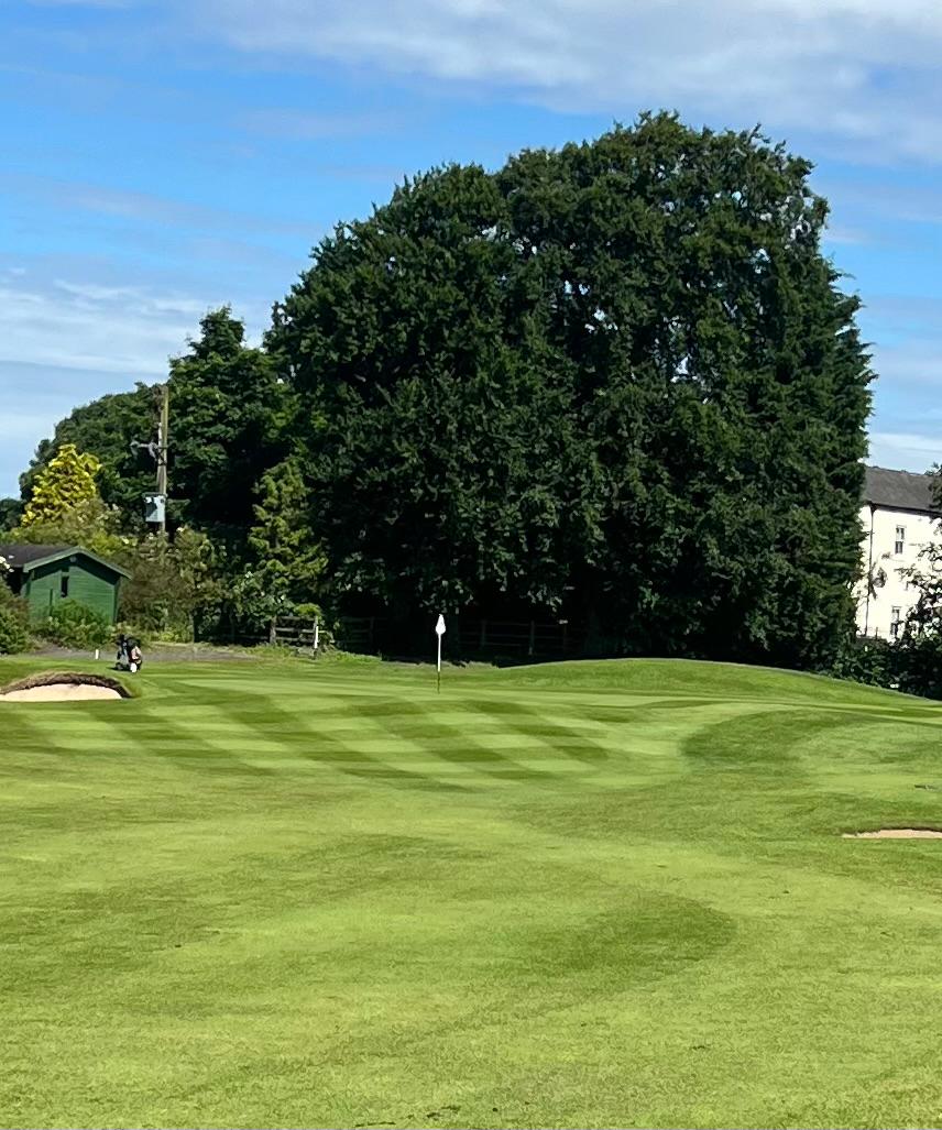 ShaunEmbas's tweet image. 