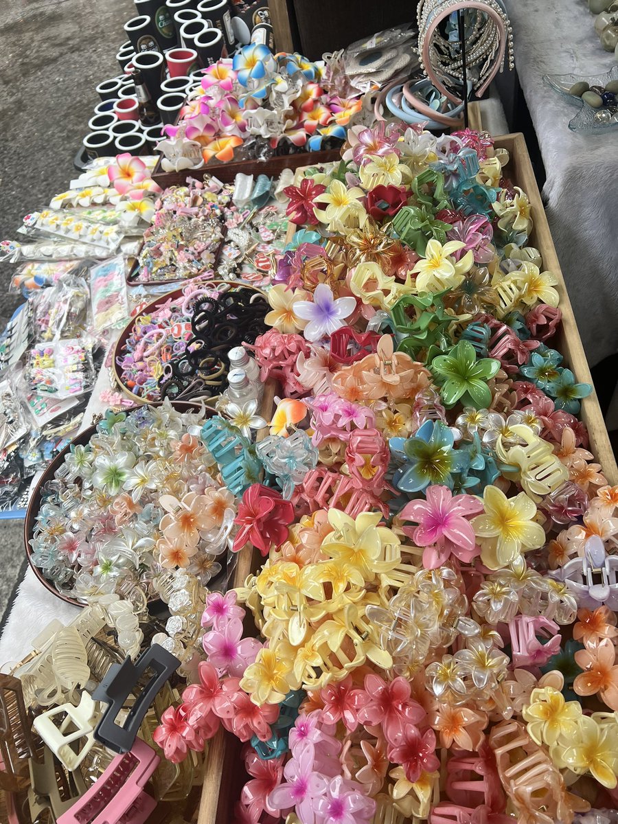 veseoa's tweet photo. beach vibe 🌺🏝️🐘 https://t.co/vToFzs0d0h
