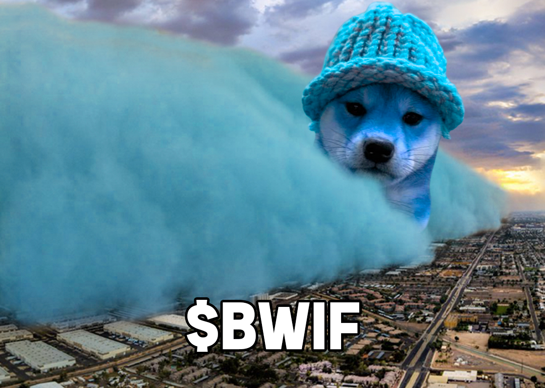 dogbwifhat tweet media