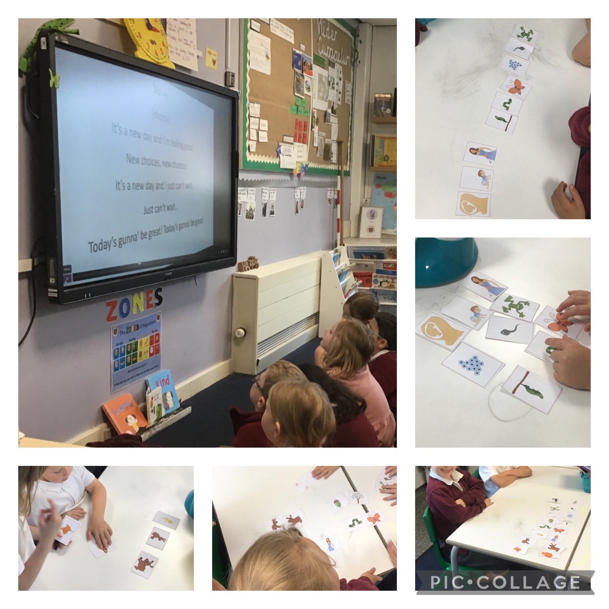 In Personal Development, Year 1 have been learning all about how things change over time including animals, trees and us. We explored how humans enter different stages of life including baby, child and adult 👶🏼👩🏻 #moorsidepa #moorsidepapersonaldevelopment <a href="/MrsFoxMPA1/">Mrs Fox</a>