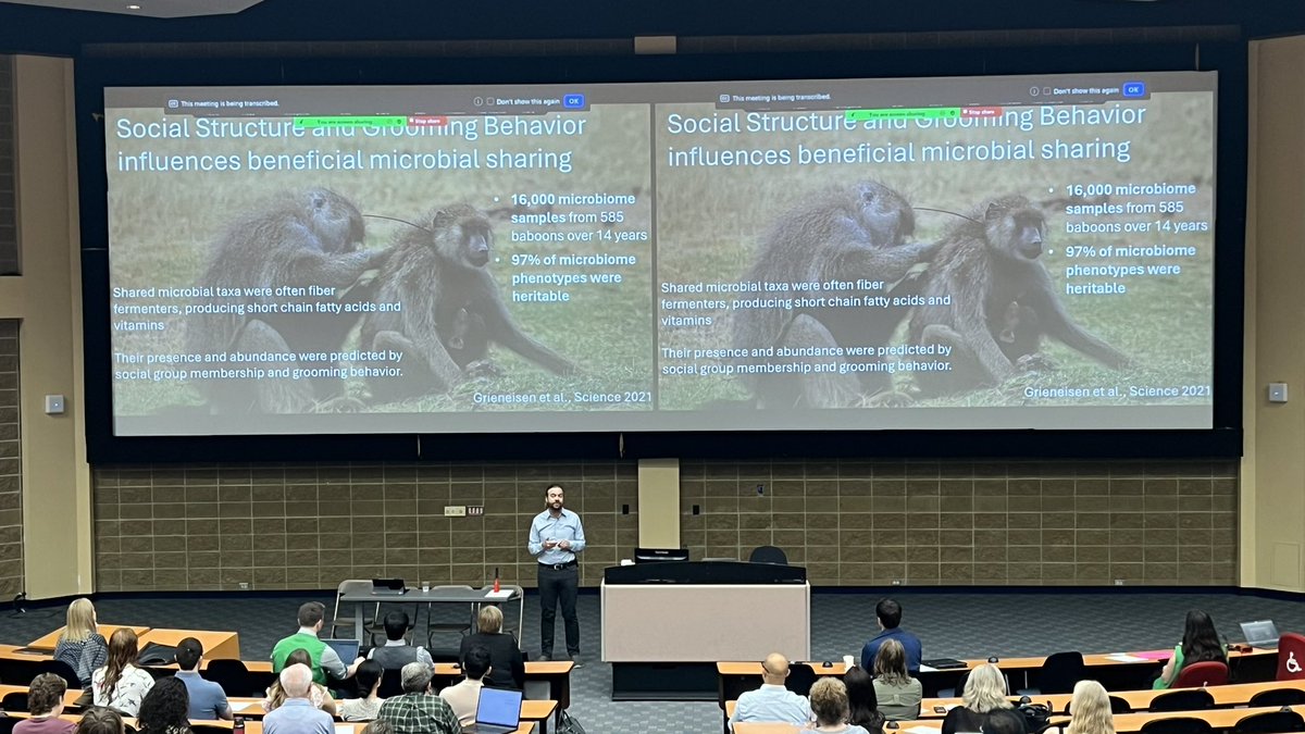 Brendan Daisley (@bdaisley) on Twitter photo First speaker up <a href="/gilbertjacka/">Jack A Gilbert (he/him/his)</a> from <a href="/UCSDHealth/">UC San Diego Health</a> on precision microbiome medicine, and what we can learn from transfer of beneficial #microbes and social structures of #baboons 🐒🔬
<a href="/uofg/">University of Guelph</a> <a href="/UofG_MCB/">MCB at UofG</a> <a href="/UofGCBS/">College of Biological Science</a> <a href="/GairdnerAwards/">Gairdner Foundation</a> First speaker up <a href="/gilbertjacka/">Jack A Gilbert (he/him/his)</a> from <a href="/UCSDHealth/">UC San Diego Health</a> on precision microbiome medicine, and what we can learn from transfer of beneficial #microbes and social structures of #baboons 🐒🔬
<a href="/uofg/">University of Guelph</a> <a href="/UofG_MCB/">MCB at UofG</a> <a href="/UofGCBS/">College of Biological Science</a> <a href="/GairdnerAwards/">Gairdner Foundation</a>