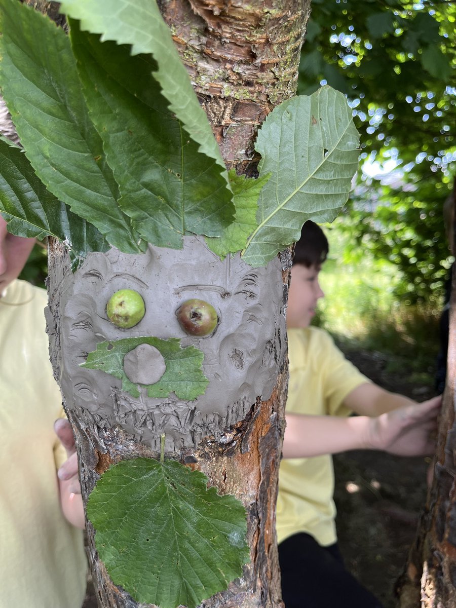 LawnPrimaryFS's tweet photo. And we go again! Tree warriors with Y5S this morning! 🌳 https://t.co/OUjR6wuuzi