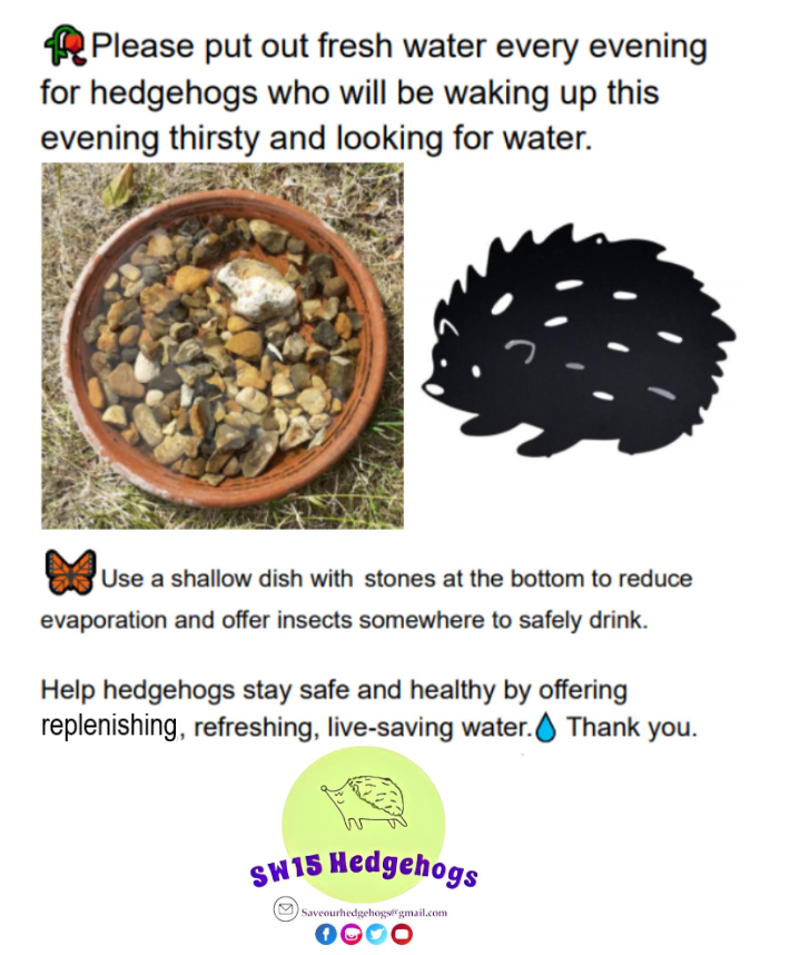 SW15 Hedgehogs tweet media