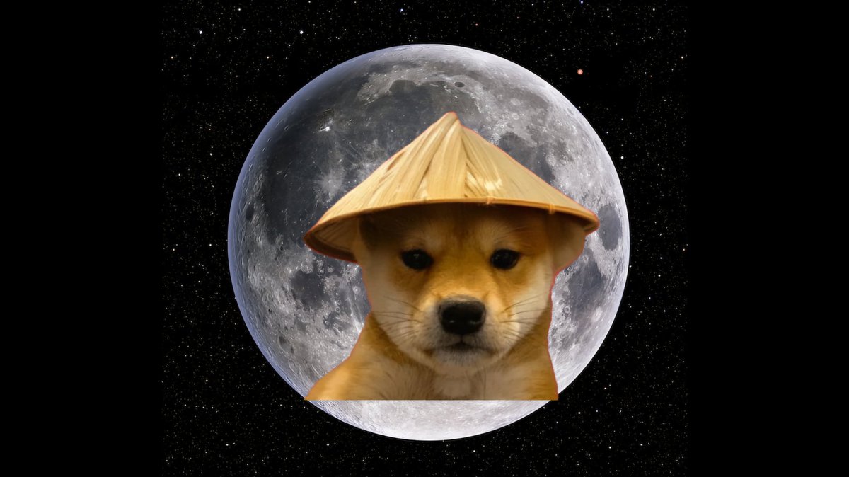The China hat stay on moon $WEF 🐶🤝🇨🇳 #eth #dog #meme #wif #moon