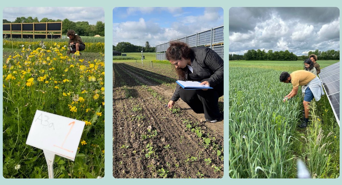 Value4Farm tweet media