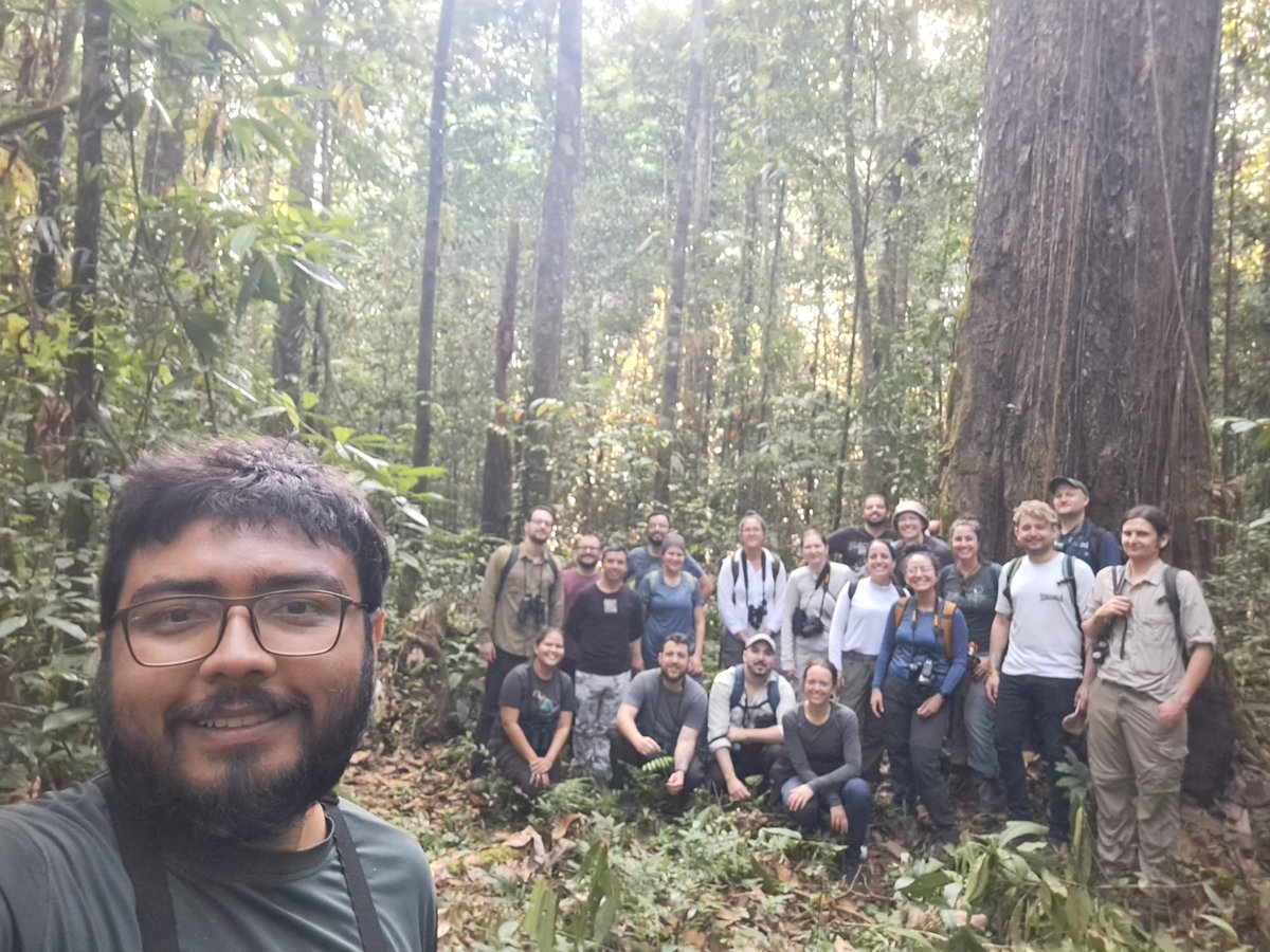 Rede Amazônia Sustentável tweet media