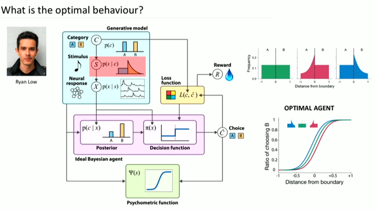 sophia_tsitso's tweet photo. One of the best SL presentations that I have attended.
@AthenaAkrami
discussing sensory statistics and feedback based statistical learning & modelling, and behavior optimization, in UCL Neuroscience Symposium 2024, #UCL #Neuroscience #UCLNeuroDomain #StatisticalLearning https://t.co/MxNOo66mX8