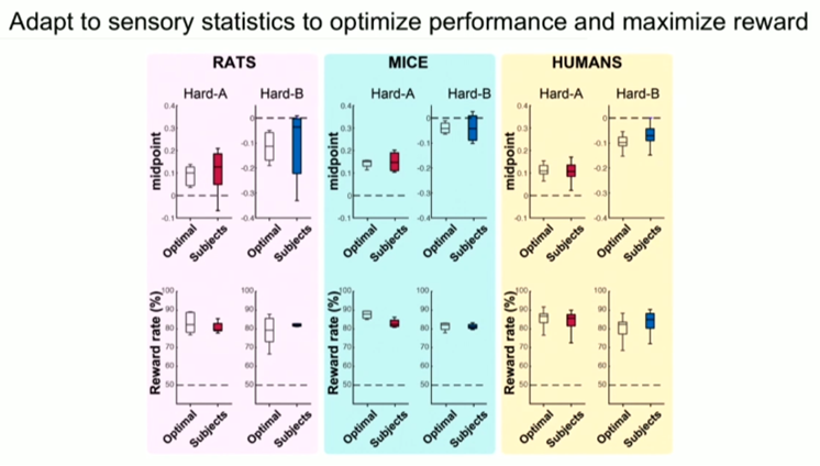 sophia_tsitso's tweet photo. One of the best SL presentations that I have attended.
@AthenaAkrami
discussing sensory statistics and feedback based statistical learning & modelling, and behavior optimization, in UCL Neuroscience Symposium 2024, #UCL #Neuroscience #UCLNeuroDomain #StatisticalLearning https://t.co/MxNOo66mX8