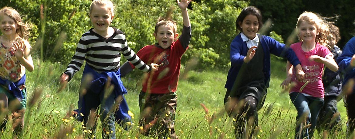 Addysg/Education National Botanic Garden of Wales (@walesbotanicedu) on Twitter photo We have just a few dates left for any school bookings before the summer break.
Please contact education@gardenofwales.org.uk
to secure your summer trip! We have just a few dates left for any school bookings before the summer break.
Please contact education@gardenofwales.org.uk
to secure your summer trip!