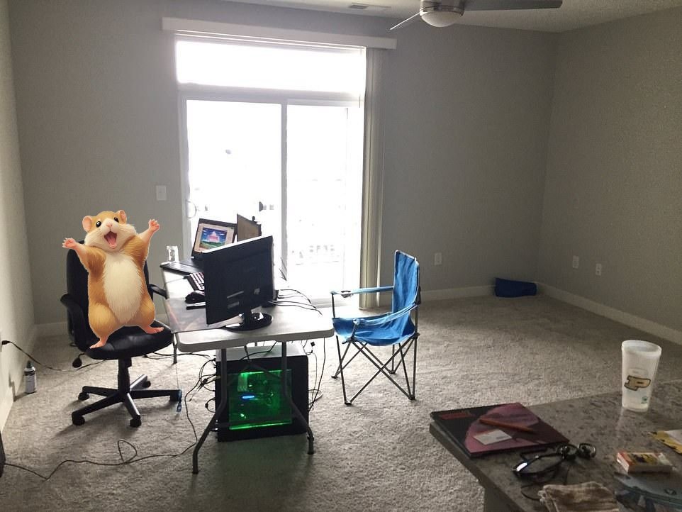 dancinghamster_'s tweet photo. Dancing Hamsters current lifestyle:
"grab a seat in my office."
#HAM #dancinghamster #crofam $btc #btc $mery #mery $emit #emit #vvs $ryoshi #ryoshi #rtrd $rtrd #damoon $damoon $puush #puush $loaf #loaf $dip #dip #kyberswap #vvsfinance #wolfswap #thursdaythoughts #thepenguin https://t.co/Q0iuZRoHD2