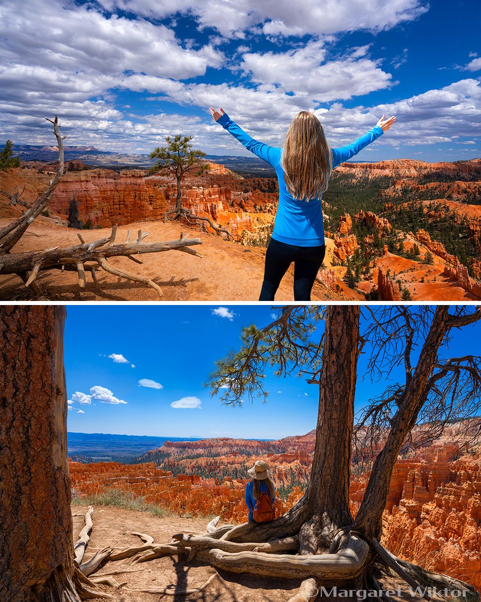 Gorgeous Bryce Canyon margaretwiktor.smugmug.com/Arizona-Landsc… #BryceCanyon #NationalParks #NaturePhotography #LandscapePhotography #TravelPhotography
#Wanderlust #Explore #HikingAdventure #Explore  #TravelGoals #NatureLovers
#OutdoorPhotography #PhotoOfTheDay