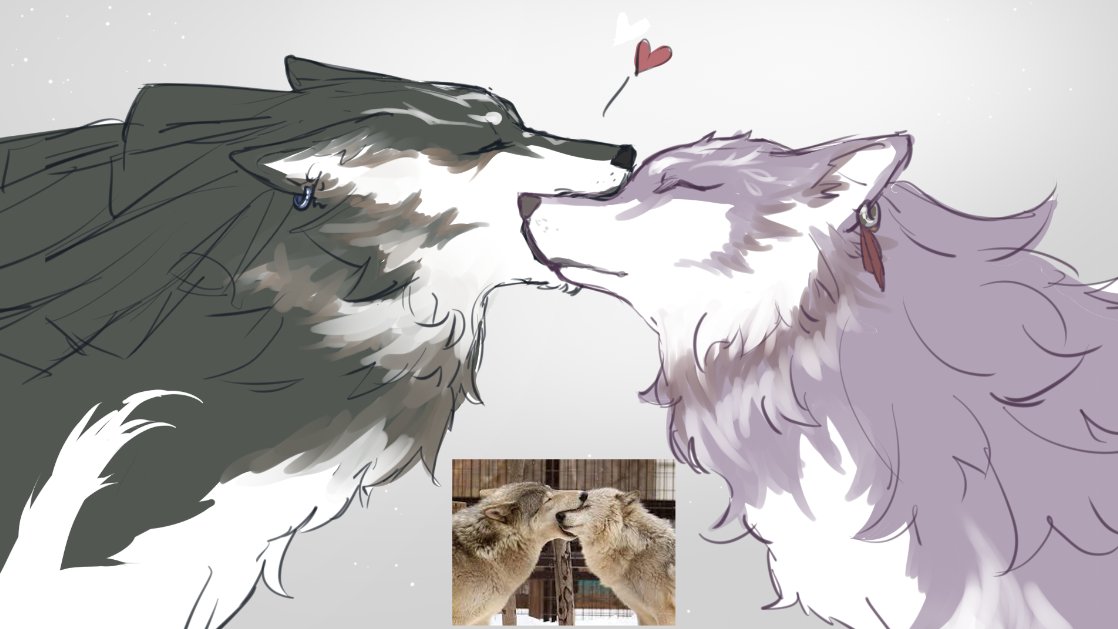 狼リンゼル(*´ε`*)ﾁｭｯﾁｭ