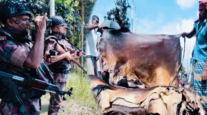 ভারতে কোরবানির চামড়া পাচাররোধে সাতক্ষীরা সীমান্তে নিরাপত্তা ব্যবস্থা জোরদার