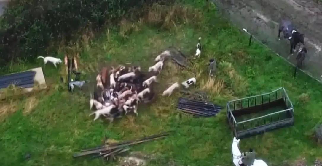 Edwardmagnific's tweet image. These priorities? You’ve had twenty years to go #cleanboot - all of your arguments are null &amp;amp; void and you only have yourselves to blame if Labour completely ban trail hunting and close the loopholes around hunting deer. We are rural, and we’re sick of it.