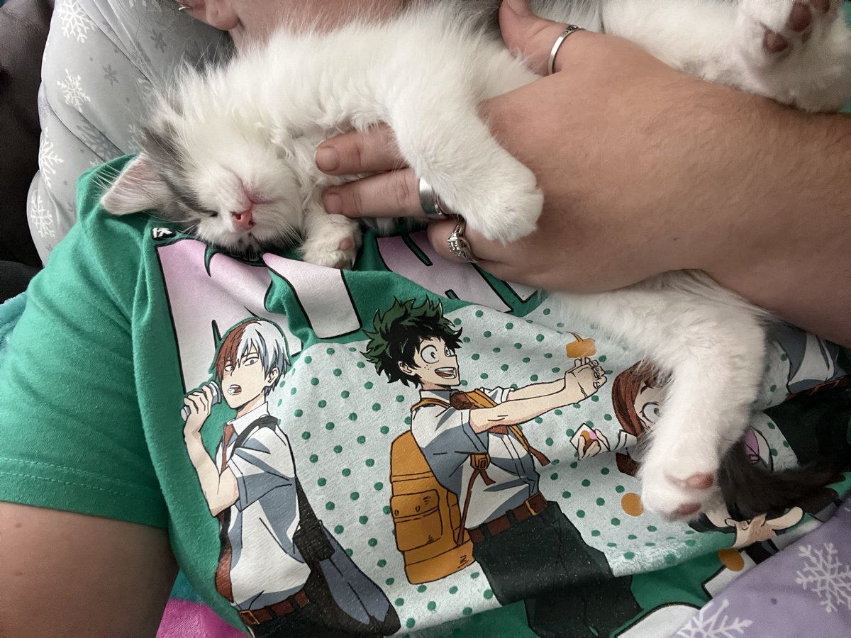 btch_ldy's tweet photo. 🥹 the snuggliest baby I’ve ever had https://t.co/32NEn8wie2