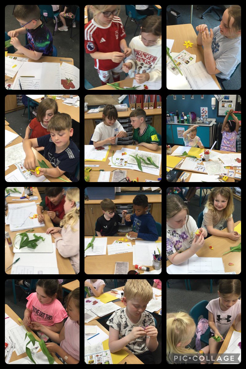 RTPS Y3B tweet media