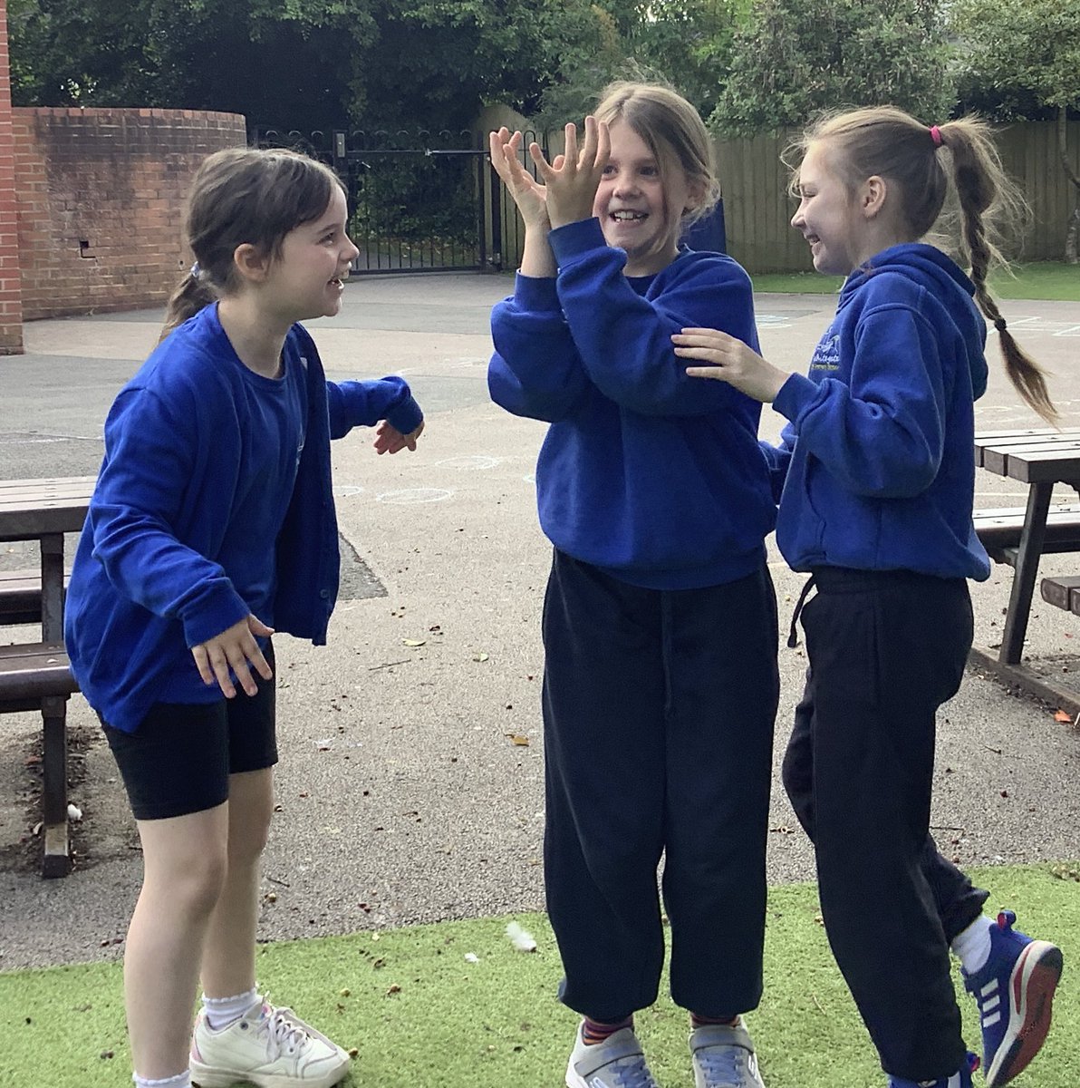 WhitegateCedar tweet media