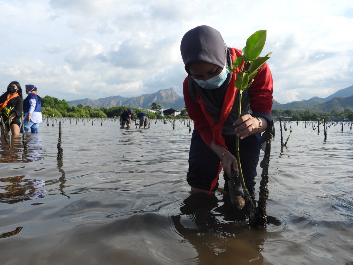 CIF advances disaster risk management through climate resilience with actionable insights.

Our report offers strategies to enhance community and infrastructure resilience against disasters and climate impacts.

cif.org/knowledge-docu…

<a href="/UnderstandRisk/">Understanding Risk</a> <a href="/GFDRR/">GFDRR</a> #UR24