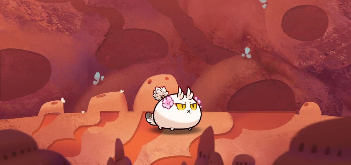 Elisa (optimism/acc) tweet media