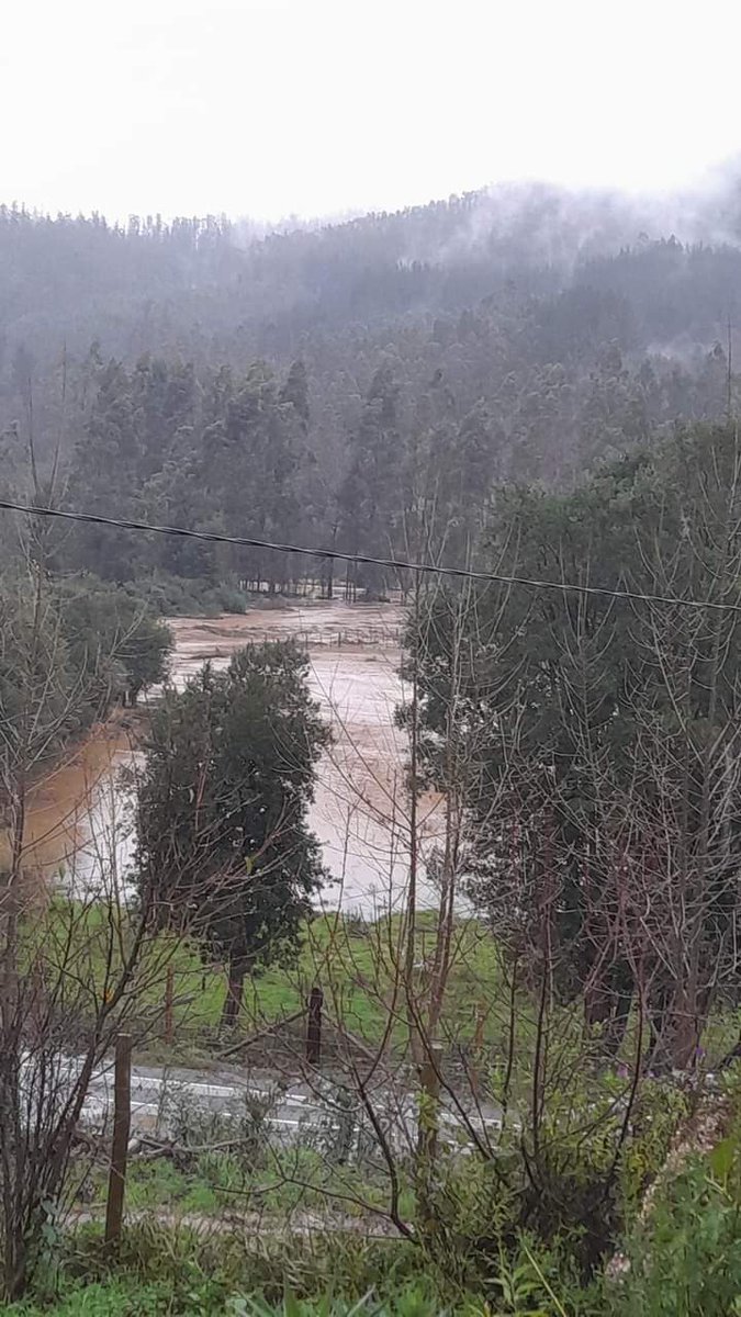 alegriagonzaa's tweet photo. 10:56 | 🚨🌧️#Arauco Vecinos de #Pichilo reportan aumento de caudal en Rio Lía @KarendTV @reddeemergencia @RNE_Alpha_8 @alligohler https://t.co/vMdc9kWjyr