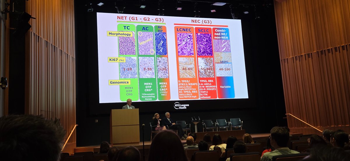 Fang Zhou, MD (NYU Langone Health, Pathology) (@fuzzfree) on Twitter photo Beautiful summary slide by Dr. Papotti
<a href="/PulmPathSoc/">PPS</a> <a href="/nyulangone/">NYU Langone Health</a> <a href="/NYUGSOM_Path/">NYU GSOM Pathology</a> #lung #neuroendocrine #carcinoid Beautiful summary slide by Dr. Papotti
<a href="/PulmPathSoc/">PPS</a> <a href="/nyulangone/">NYU Langone Health</a> <a href="/NYUGSOM_Path/">NYU GSOM Pathology</a> #lung #neuroendocrine #carcinoid
