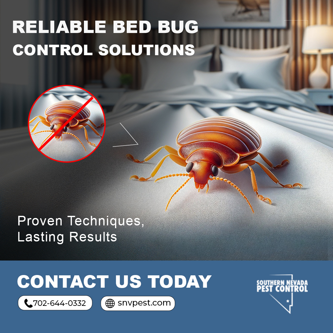 SNVPest's tweet image. Sleep tight without bed bug bites! #SouthernNevadaPestControl has the tools and expertise to make your home pest-free. Say goodbye to restless nights! 😴 Contact us now at 702-644-0332 or visit snvpest.com #BedBugControl #PestFreeLiving #PestControlServices