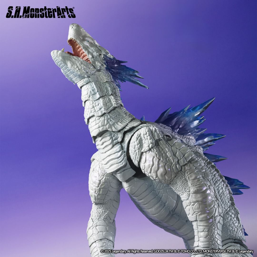 BANDAI NAMCO S.H.MonsterArts ゴジラ×メカゴジラ ゴジラ (2002