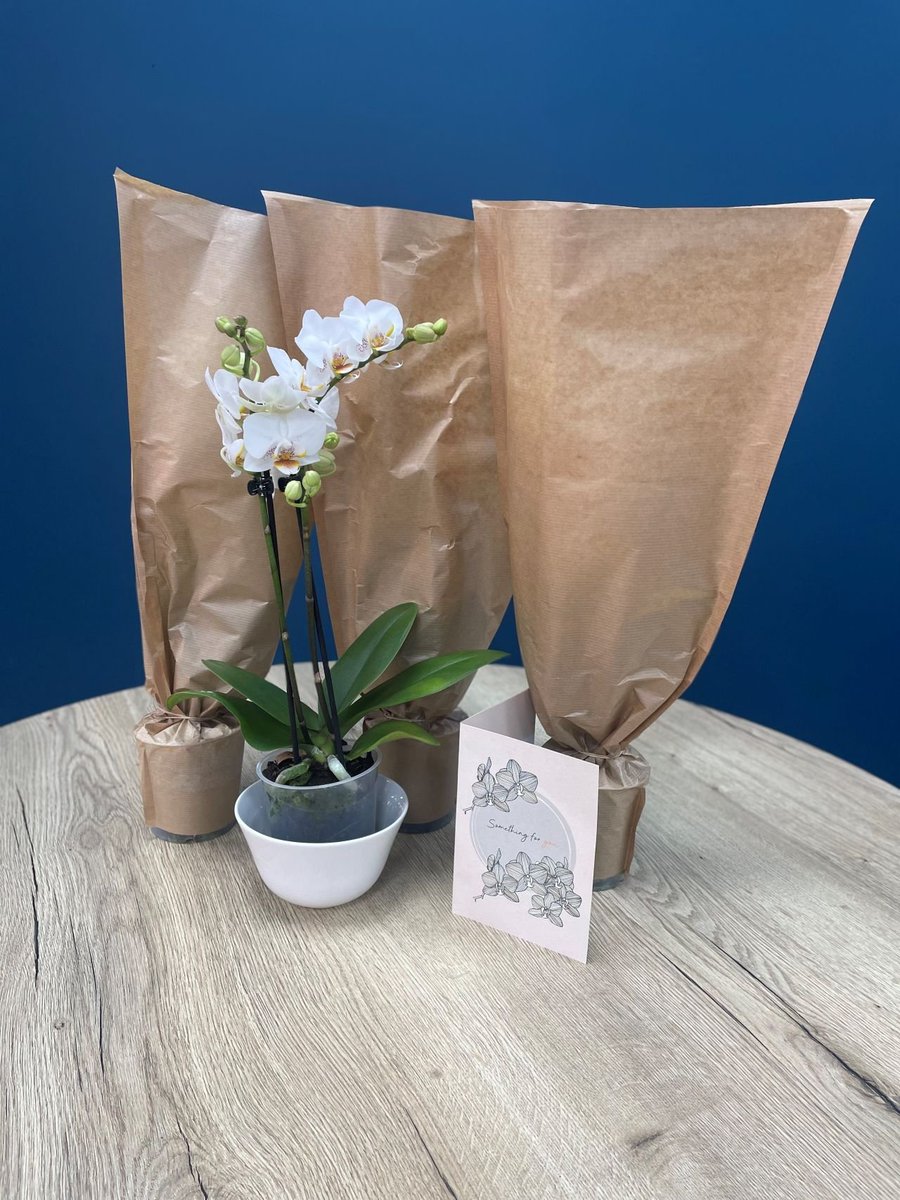 Flowers will always brighten our day, but receiving feedback like this means so much to our team

"Emily, thank you so much for the amazing help you have given us with our sale but also our super speedy purchase! You do a tremendous job as do your team and we are very grateful!"