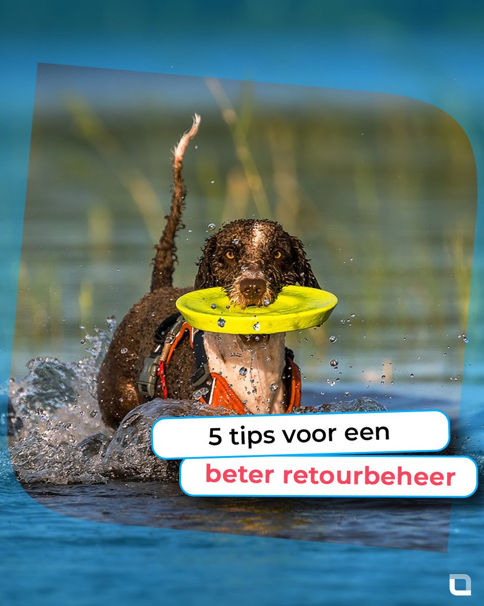 shopsunited's tweet photo. Verbeter je 𝗿𝗲𝘁𝗼𝘂𝗿𝗯𝗲𝗵𝗲𝗲𝗿 met onze 5 tips! Bespaar kosten, verhoog klanttevredenheid en maak je klanten blijer dan ooit 🎉🤩. Lees hier ons nieuwste blog ➡️ https://t.co/VWFakoRedP https://t.co/d2K1Vcj6lL