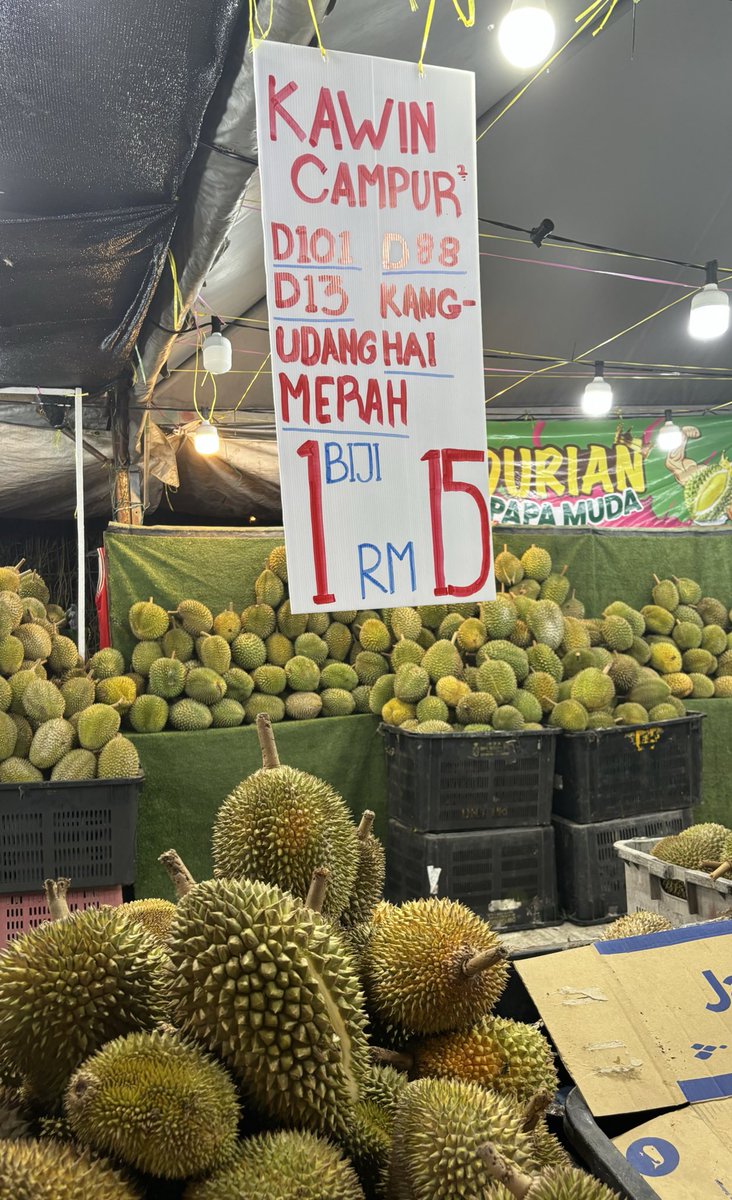 Nurintashaa's tweet photo. Makan durian sebijik RM15 pastu dah la isi kuning kuning berlemak. Lurveeee 😭✨ https://t.co/qQOlKCmqdA