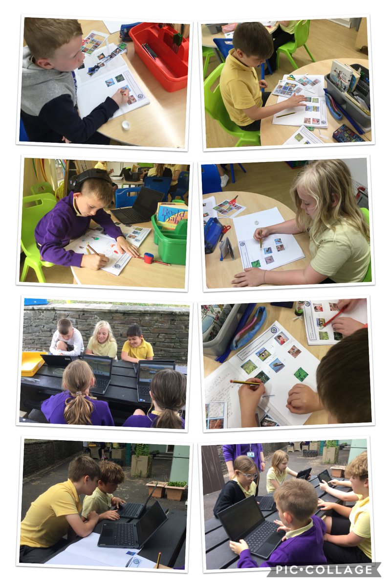 Dosbarth Aderyn tweet media