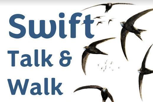Don't forget to reserve your free ticket for the Swift Talk &amp; Walk 

Sunday 23rd June at 4pm:buff.ly/3VAA3Jh 

Find out how to celebrate and protect Hungerford's precious swifts!