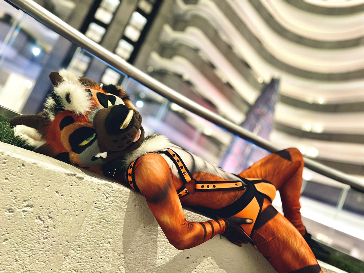 Oh, what am I up to? Just layin’ around 

📸: <a href="/FurryPurpleAura/">Aura💜</a>