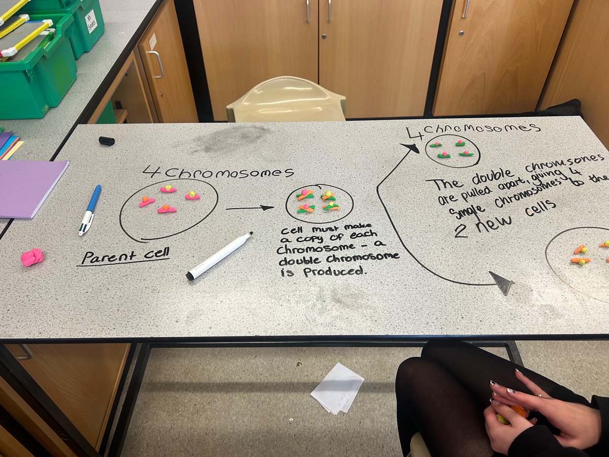 BraeviewScience tweet media