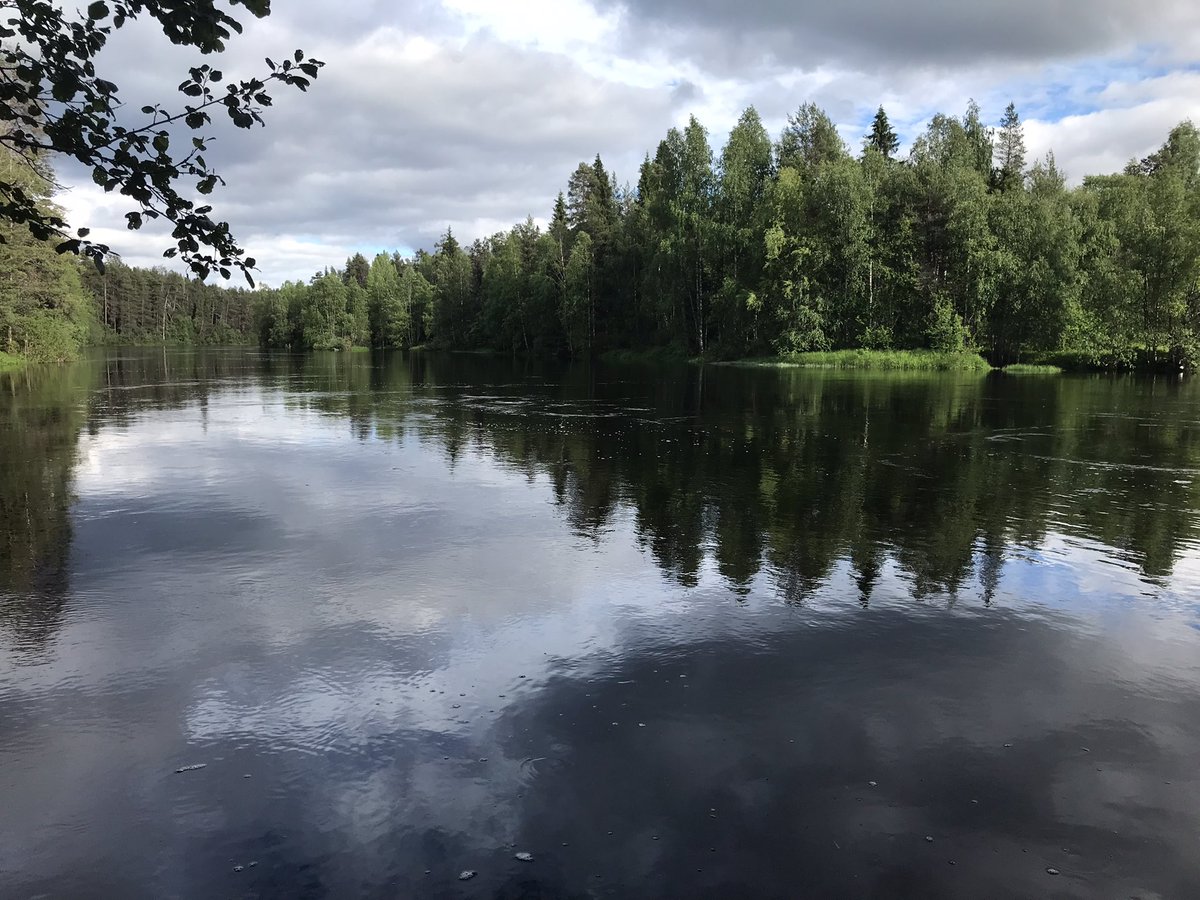 Welcome to Oulanka. A lovely evening!