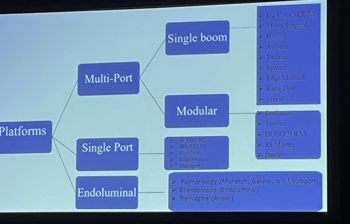 Lindsey Bridges tweet media