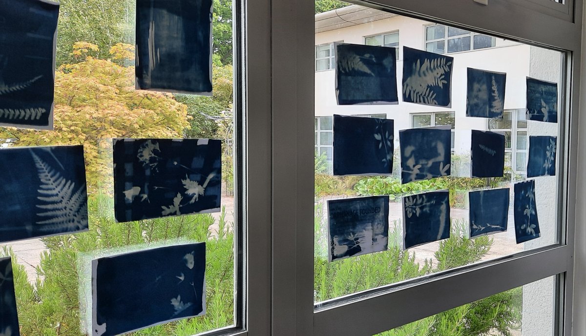 unistirarchives's tweet photo. Love these cyanotype postcards created by @Rosie_Canning used to collect thoughts on todays fantastic @ARCH_stirling event
#ARCHStirMemory @artatstirling https://t.co/WXDgFLjhM8