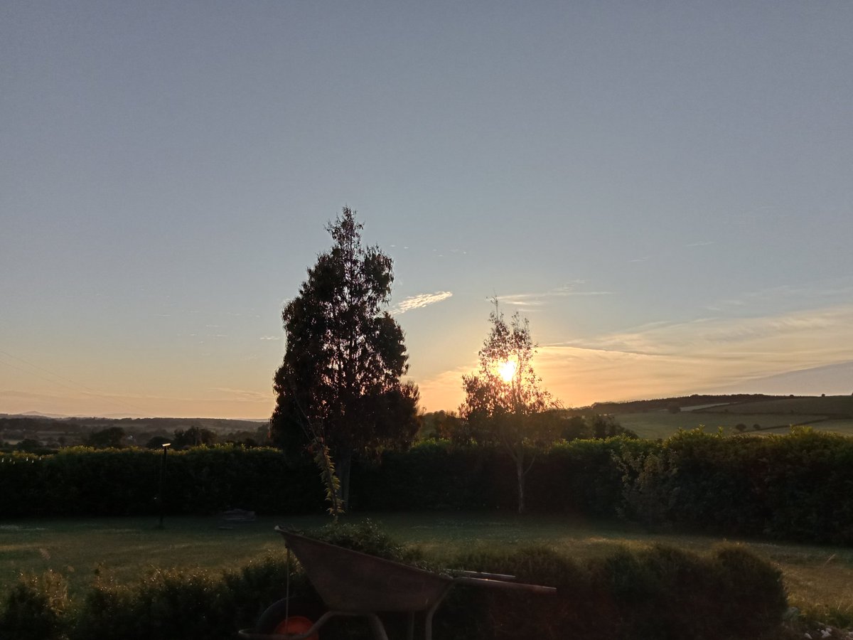Sunrise in #Wexford this morning for the #summersolstice only noticed the heart ❤️ in the Eucalyptus tree afterwards 😍