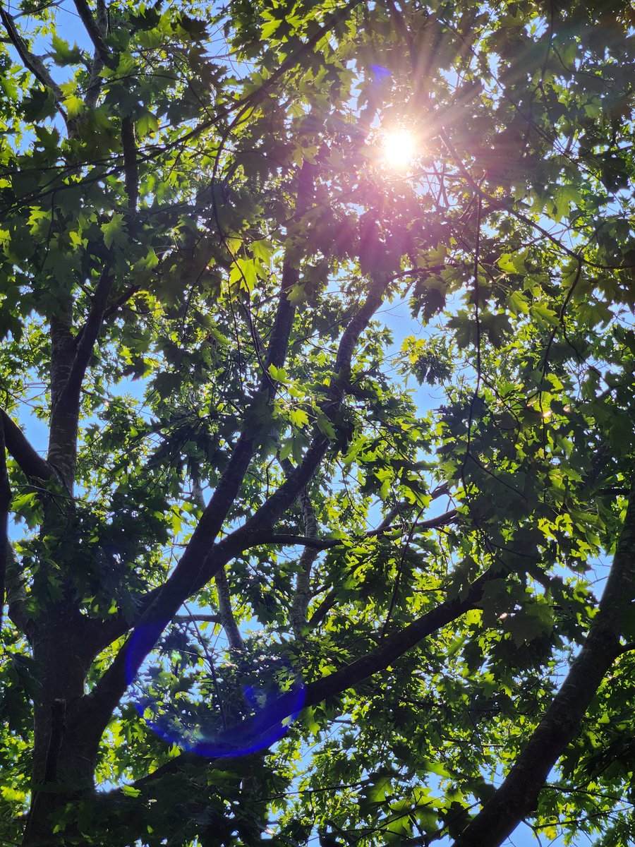 Maskell+Josephson tweet media