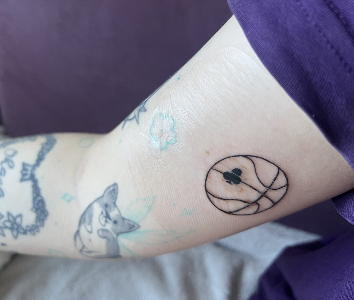 Karolina 🐝♣️ tweet media